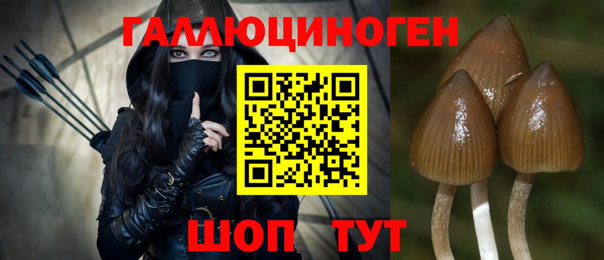 Артёмовский  Псилоцибиновые грибы ЛСД  Вход с VPN 